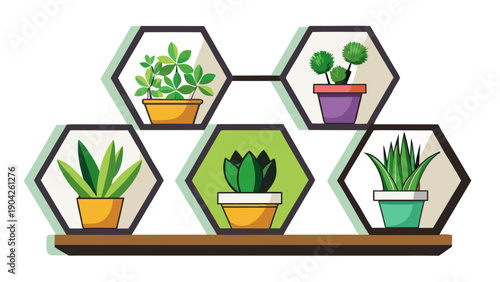 A collection of six hexagonal planters with lush green indoor plants arranged neatly together Vector, illustration