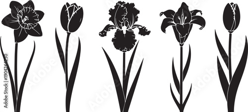 Vector black silhouettes of spring flowers (tulips, narcissus and iris) isolated on a white background