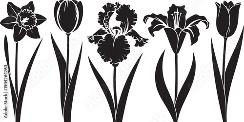 Vector black silhouettes of spring flowers (tulips, narcissus and iris) isolated on a white background