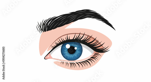 A close-up illustration of a blue eye with dark lashes and a black brow