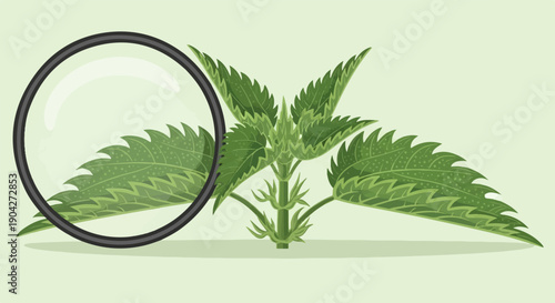 A magnifying glass examines the detailed texture of a green plant leaf