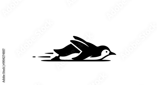 Black and White Bird Silhouette in Flight.