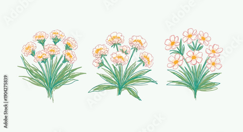 Sketch crayon style modern simple flower art illustration with hand drawn texture