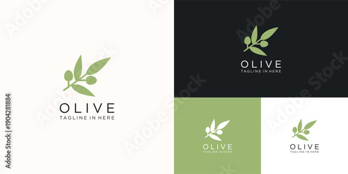 olive branch with fruits and leaf,concept of organic products , cosmetics, menu and packaging design. Vintage botanical illustration.