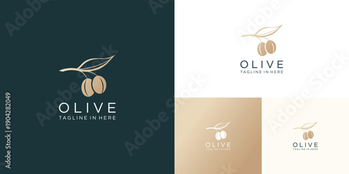Abstract olive branch creative logo design