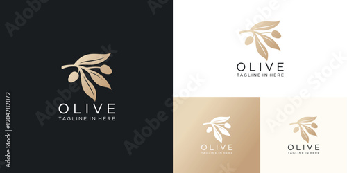 olive branch with fruits and leaf,concept of organic products , cosmetics, menu and packaging design. Vintage botanical illustration.