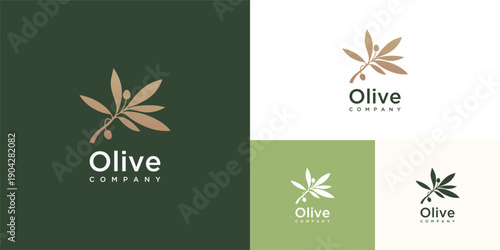 olive branch with fruits and leaf,concept of organic products , cosmetics, menu and packaging design. Vintage botanical illustration.
