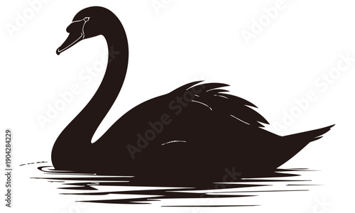 シルエット【白鳥】