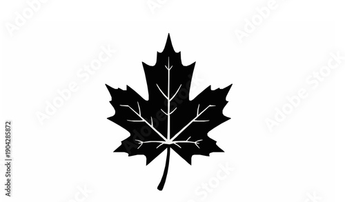 Black maple leaf icon vector illustration on white background