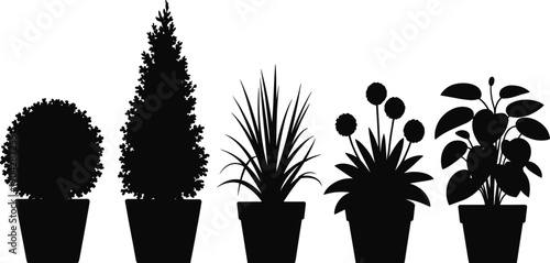 Potted plant silhouette set, indoor houseplants and decorative shrubs in pots, modern botanical black vector illustration isolated white background