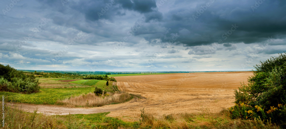 Obraz premium Vast patchwork of green and golden farmland under dark stormy sky, winding dirt lane leading into dramatic open countryside panorama before rain