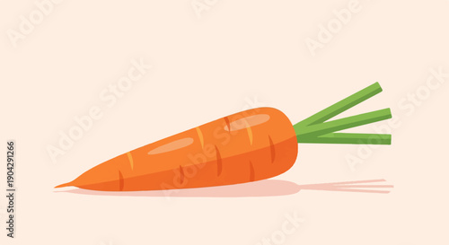 A single, bright orange carrot with green leafy tops lies on a pale background