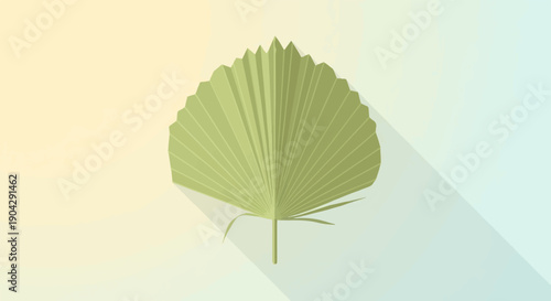 A single green fan-shaped palm leaf casting a long shadow on a gradient background