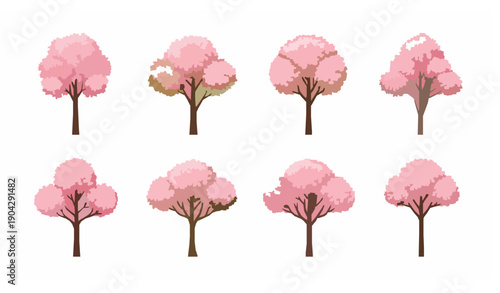 Pink Blossom Tree Vector Set with Flowering Botanical Trees Isolated on White Background