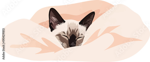 A sleeping kitten is nestled in a warm, fluffy blanket