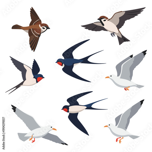 A collection of six stylized birds in flight and perched poses