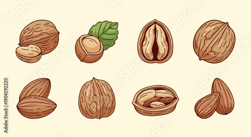 A selection of stylized nuts, including whole and halved varieties like walnuts, almonds, and hazelnuts