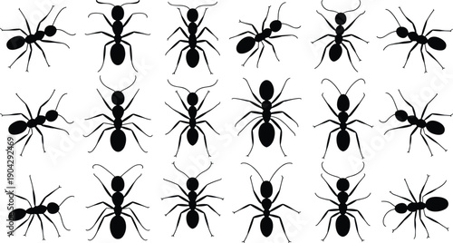 Ant silhouette vector illustration, insect icons in multiple postures, entomology artwork, biology design elements, crawling insect graphics, nature themed educational symbols