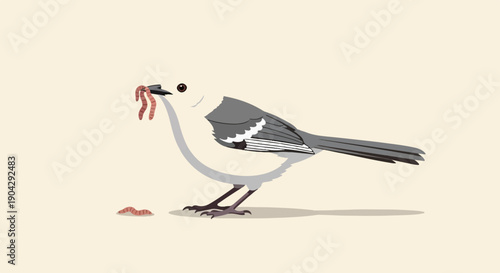 A small gray bird with white underside holds a worm in its beak