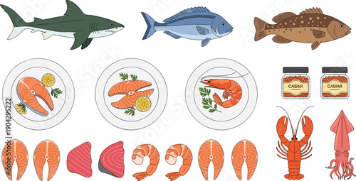 Seafood fish collection illustration, salmon tuna shrimp lobster squid caviar dishes vector set, fresh marine food design