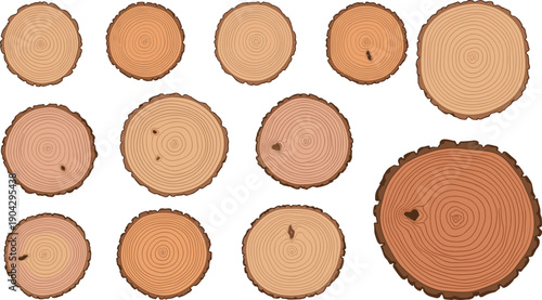 Wood tree rings collection illustration, log trunk cross section textures vector set, timber natural material isolated design