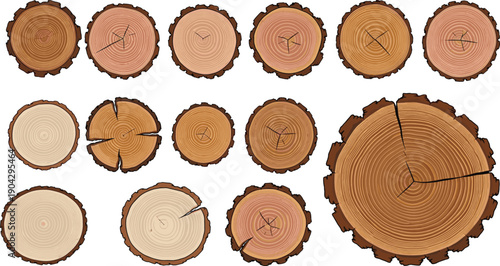 Wood log rings collection illustration, tree trunk cross section textures vector set, timber material isolated natural design