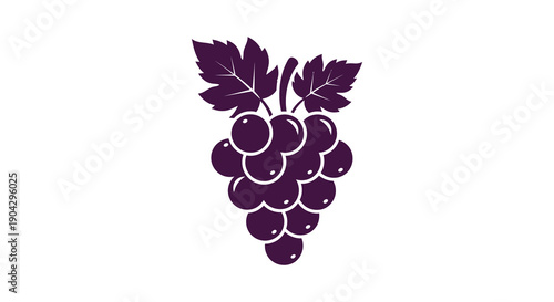 A stylized illustration depicts a bunch of dark purple grapes featuring rounded forms and simplified leaf details