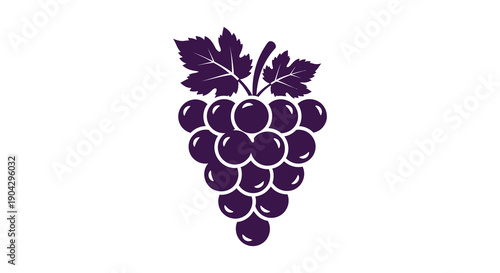 A stylized illustration depicts a bunch of dark purple grapes with leafy vines against a white background