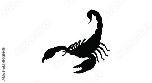 A striking silhouette of a scorpion is prominently displayed against a clean bright white background showcasing its form