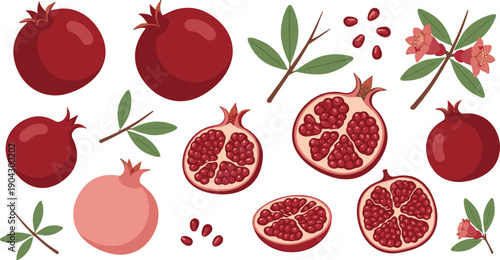 Pomegranate Fruit Vector Illustration Set with Whole and Sliced Fruits, Seeds, Leaves, and Blossoms in Decorative Flat Botanical Style