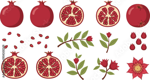 Pomegranate Fruit Vector Illustration Set with Whole, Cut, Seeds, Leaves, and Flowers for Healthy Food Branding, Botanical Designs, Packaging, and Menu Graphics
