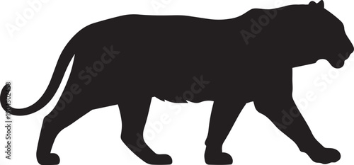 Walking Bengal Tiger Silhouette Vector Illustration, Black Profile of Majestic Wild Cat Standing and Prowling Isolated on White for Wildlife Conservation
