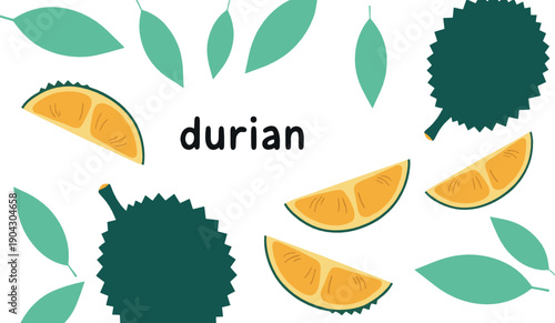 Durian fruit illustration set with whole spiky durian and sliced pieces surrounded by green leaves in clean flat style for tropical food and education designs