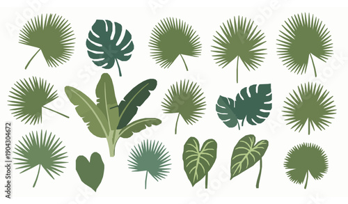 Trendy tropical leaves vector set with palm and exotic botanical plants
