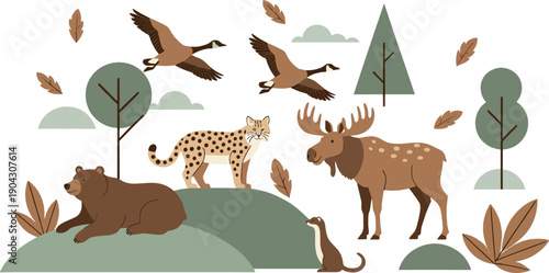 Forest wildlife illustration set with moose, bear, lynx and flying birds in peaceful flat vector style for nature, landscape and ecology design