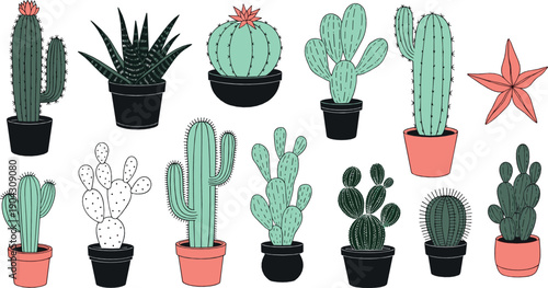 Hand drawn cactus and succulent illustration set with potted desert plants in modern flat style for home decor botanical and minimalist design projects