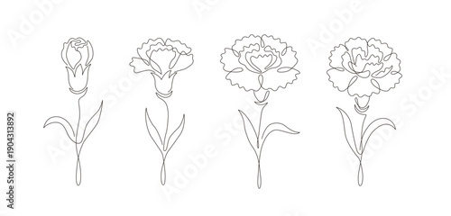Carnation flower continuous line drawing set. Bud to full bloom collection with editable stroke.
