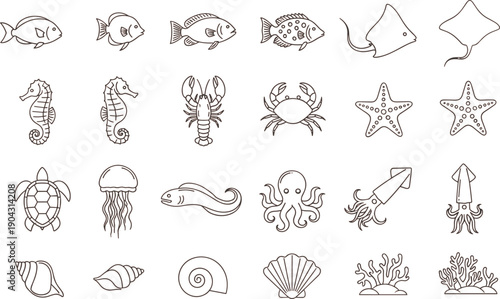 Sea animals outline icon set including fish seahorse crab starfish jellyfish turtle squid shells coral marine life line illustration collection