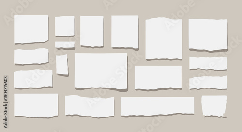 Collection of torn white paper scraps arranged on a neutral background