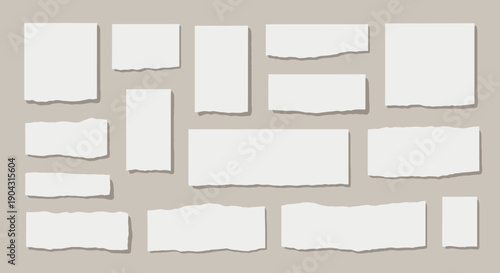 Collection of torn white paper pieces arranged on a neutral background