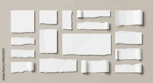 Collection of torn and ripped white paper pieces arranged on a neutral background