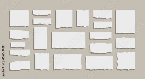 Collection of torn paper pieces arranged on a neutral light gray background