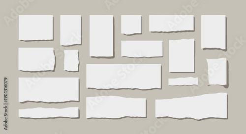 Collection of torn white paper pieces arranged on a neutral gray background