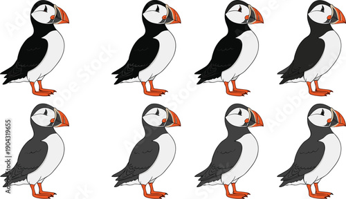 Atlantic Puffin Bird Cartoon Vector Set with Cute Seabird Characters in Different Color Variations, Coastal Wildlife Illustration in Flat Minimal Style