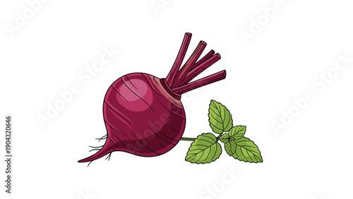 Detailed and realistic illustration of a fresh whole red beetroot with purple stems and small green leaves isolated on a white background.