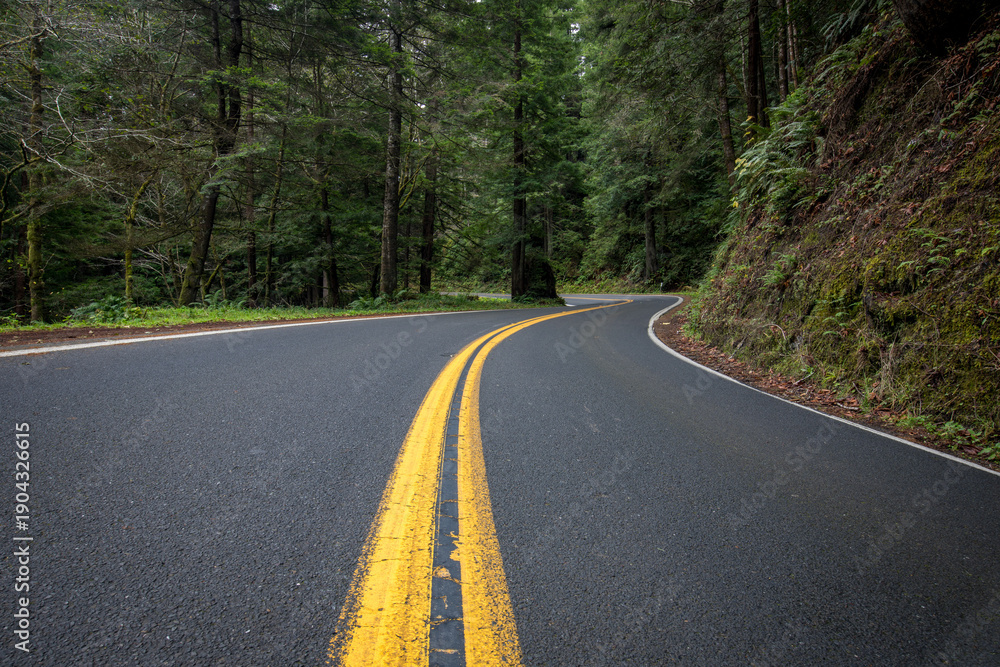 Fototapeta premium Winding Forest Road With Double Yellow Lines Curving Through Den