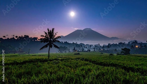 Nyepi Day Celebration in Bali, Day of Silence and Reflection