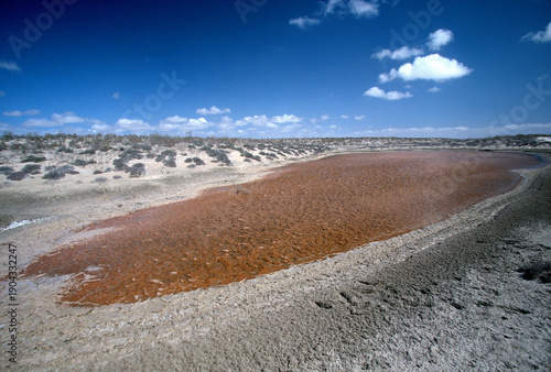 A dried up lake in Baja California, Mexico