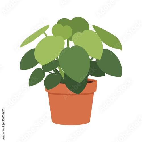 Potted Chinese Money Plant Illustration, Flat Design, Green Leaves, Terracotta Pot