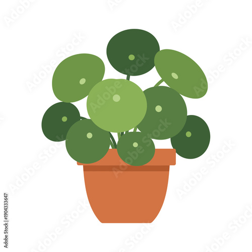 Pilea Peperomioides Plant in Terracotta Pot, Flat Design, Isolated on White